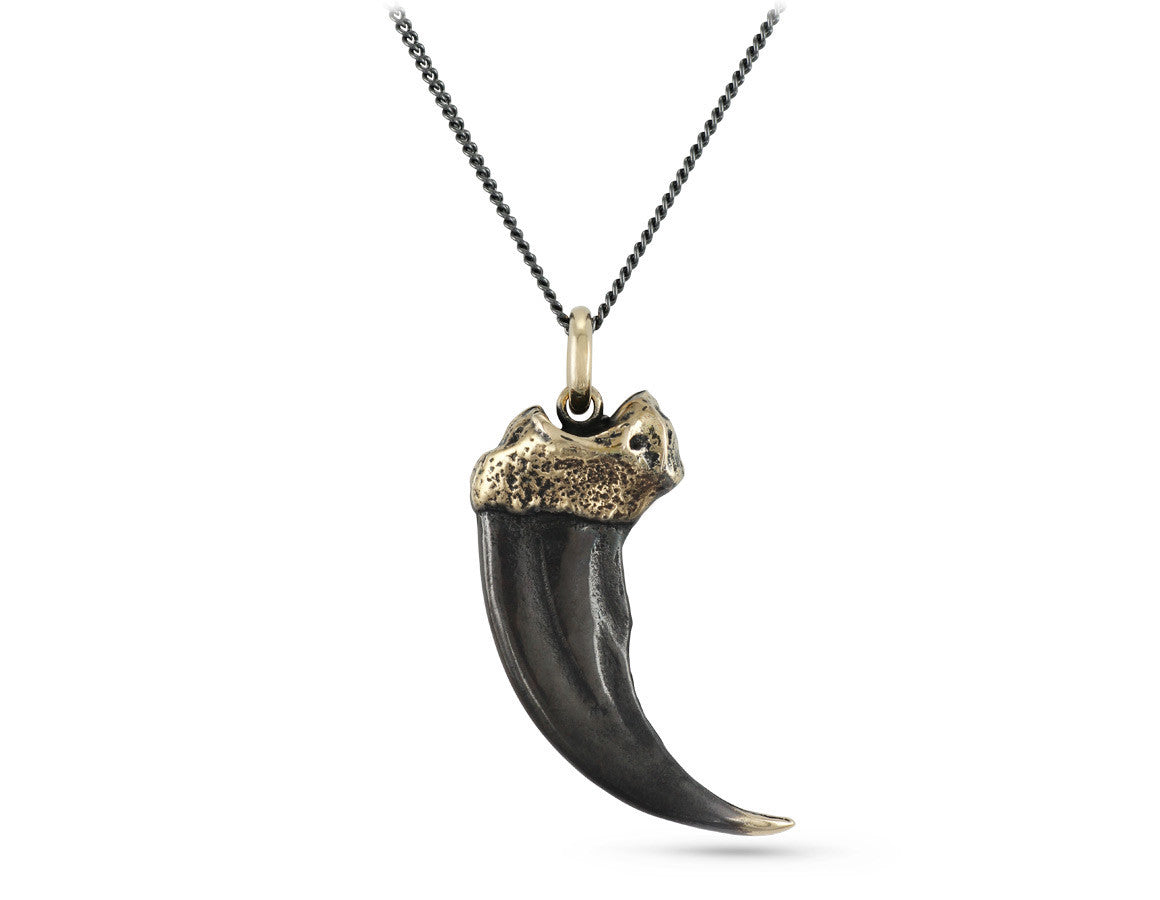 Black Bear Claw Necklace Bronze