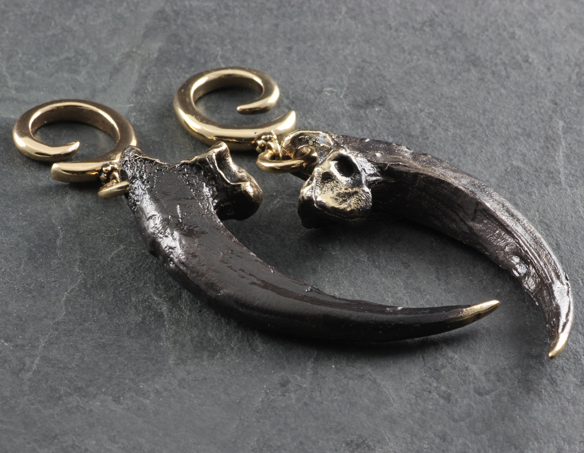 Harpy Eagle Talon Gauged Spiral Earrings - Bronze